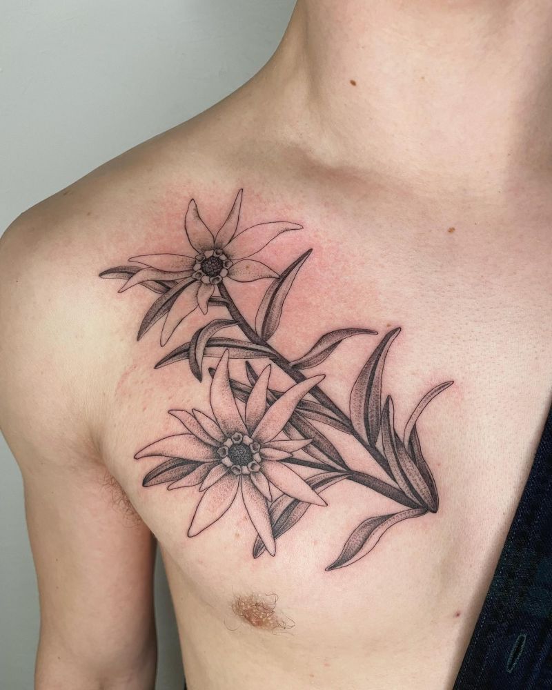 30 Unique Edelweiss Tattoos You Must Try