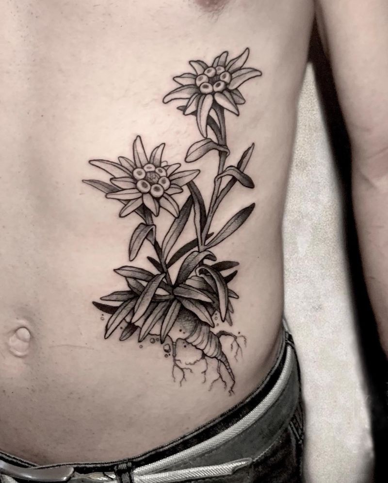 30 Unique Edelweiss Tattoos You Must Try