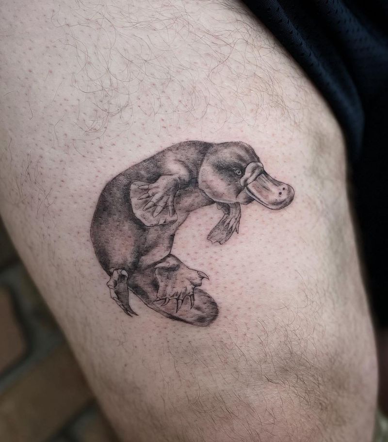 30 Cool Platypus Tattoos You Will Love