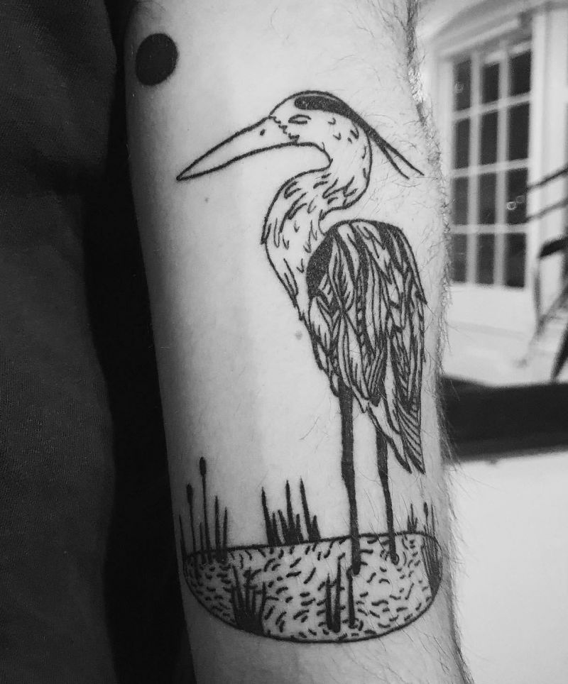 28 Unique Albatross Tattoos You Can Copy