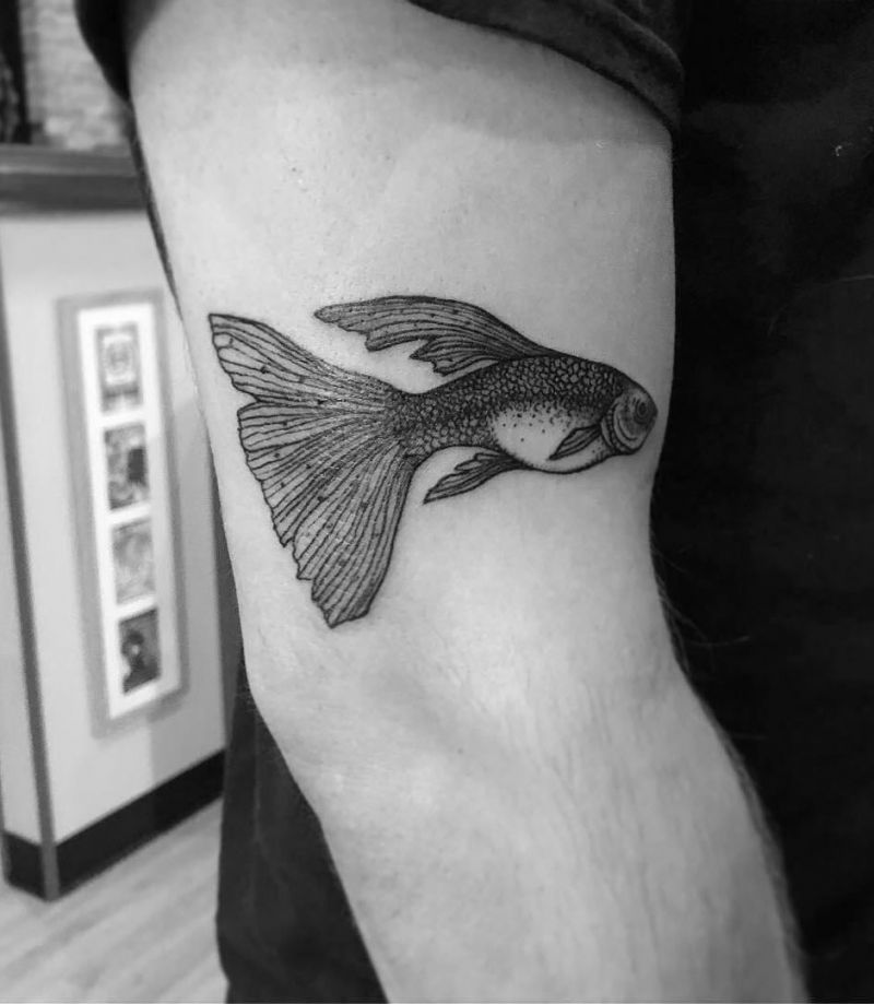 20 Unique Guppy Tattoos to Inspire You