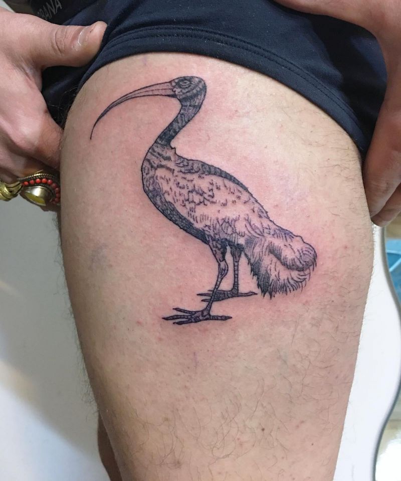 30 Unique Ibis Tattoos For Your Inspiration