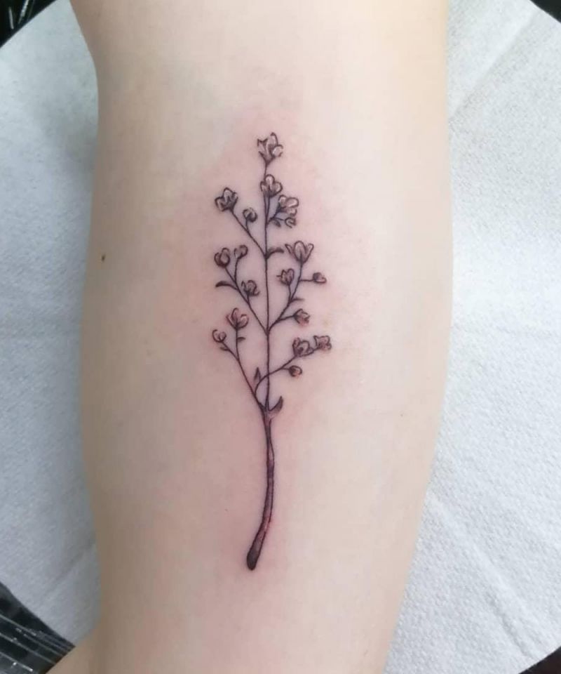 30 Pretty baby's breath Tattoos Tattoos You Will Love