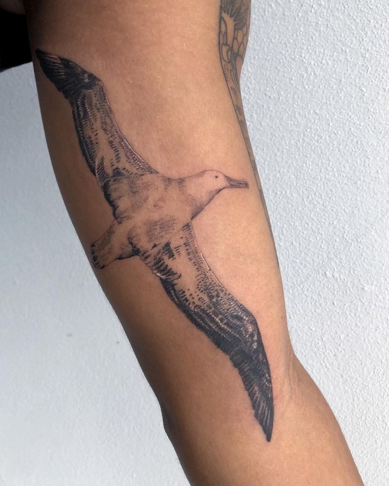 28 Unique Albatross Tattoos You Can Copy