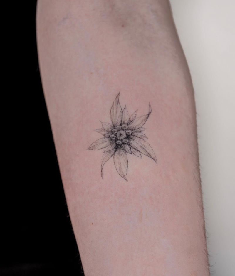 30 Unique Edelweiss Tattoos You Must Try