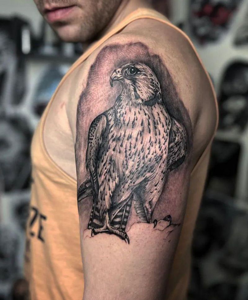 30 Amazing Hawk Tattoos Make You Attractive