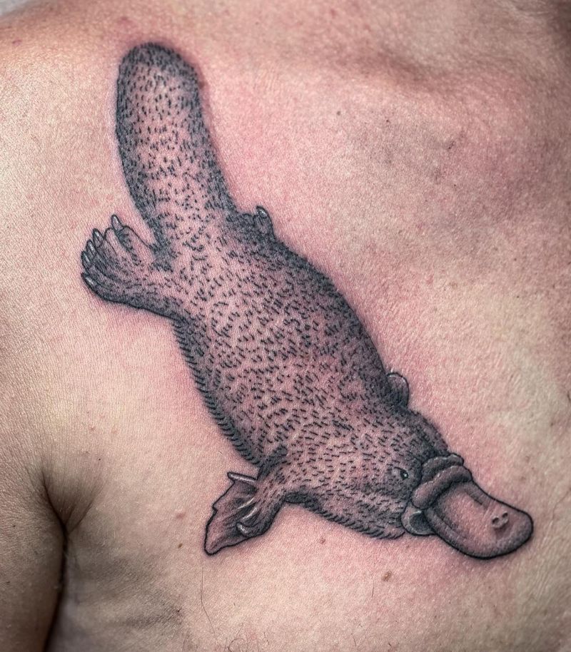 30 Cool Platypus Tattoos You Will Love