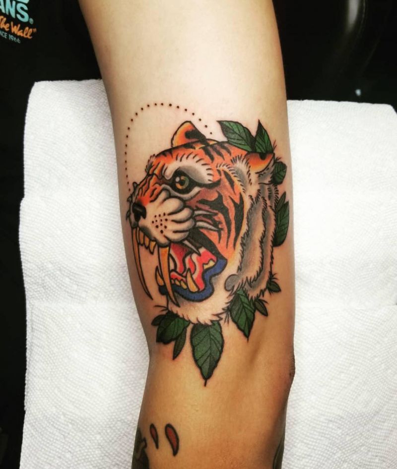 30 Unique Saber Tooth Tiger Tattoos Make You Attractive