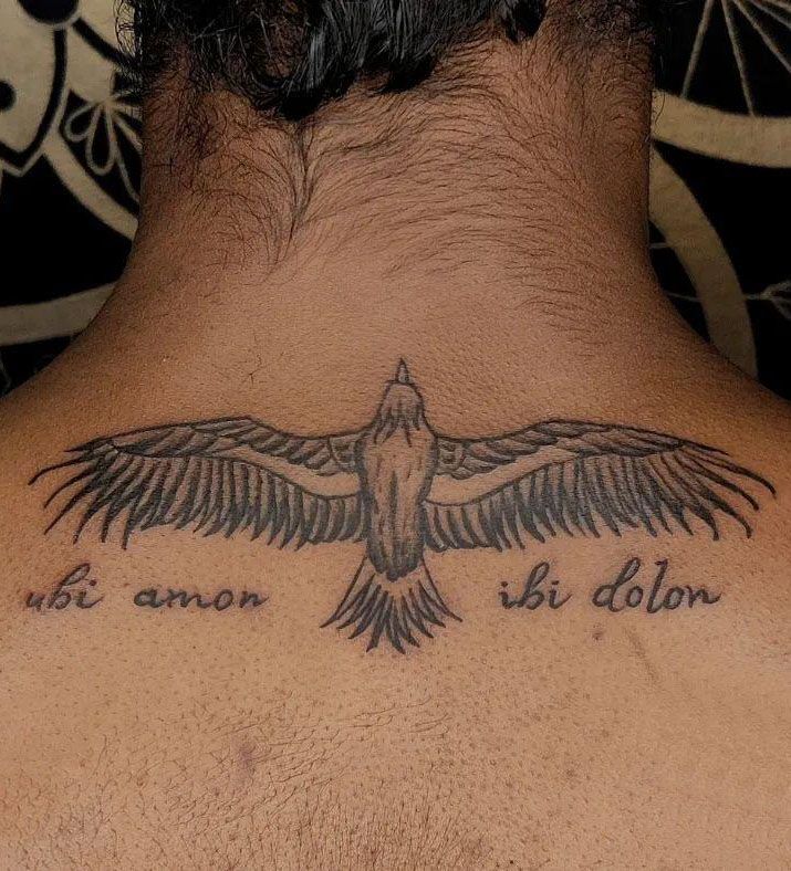 28 Unique Albatross Tattoos You Can Copy