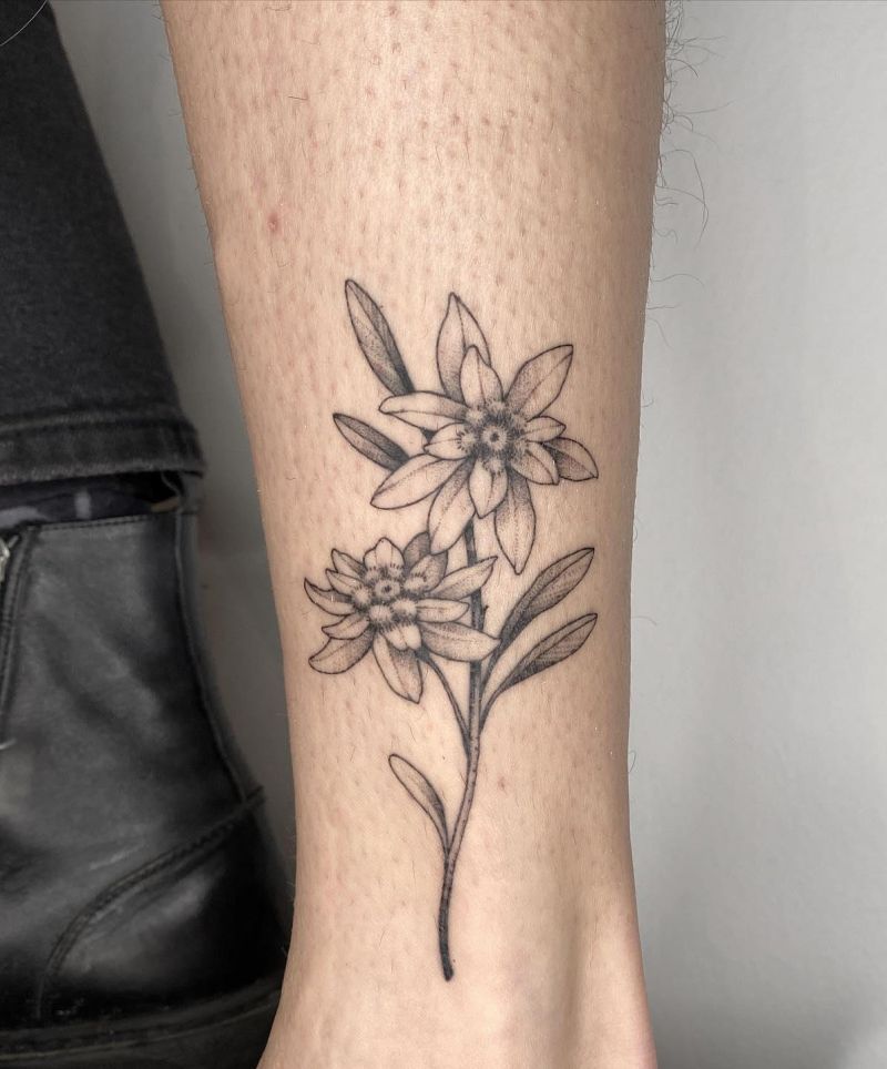 30 Unique Edelweiss Tattoos You Must