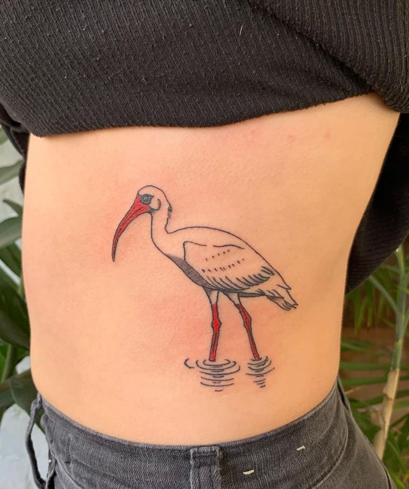 30 Unique Ibis Tattoos For Your Inspiration