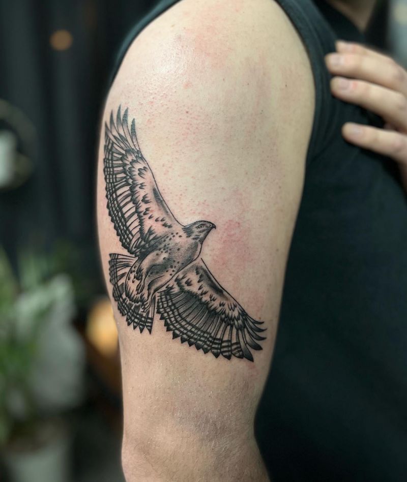 30 Amazing Hawk Tattoos Make You Attractive