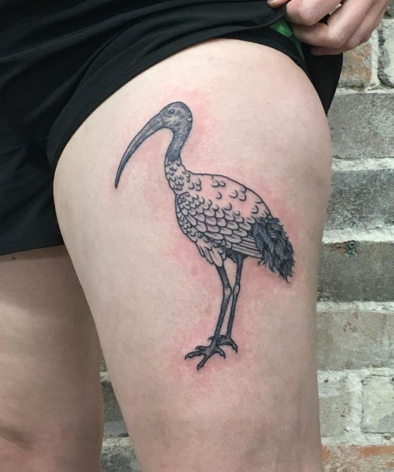 30 Unique Ibis Tattoos For Your Inspiration