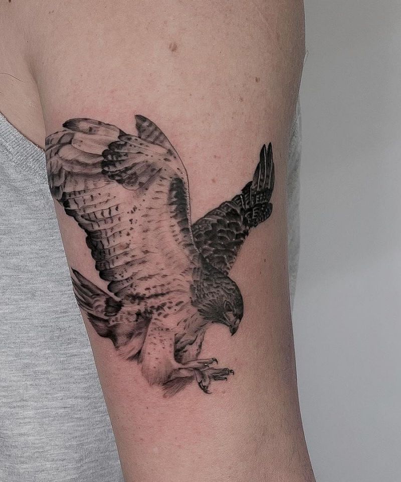 30 Amazing Hawk Tattoos Make You Attractive