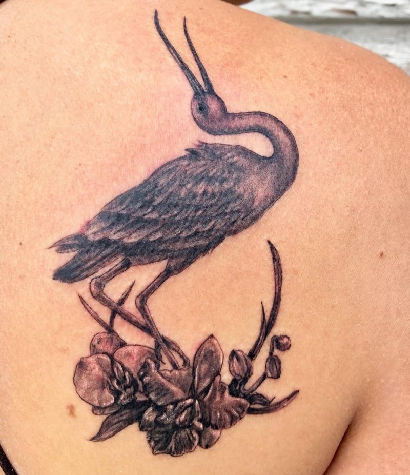 30 Unique Ibis Tattoos For Your Inspiration