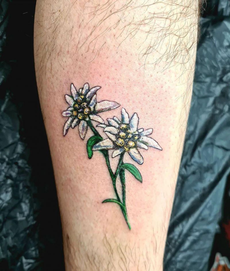 30 Unique Edelweiss Tattoos You Must Try