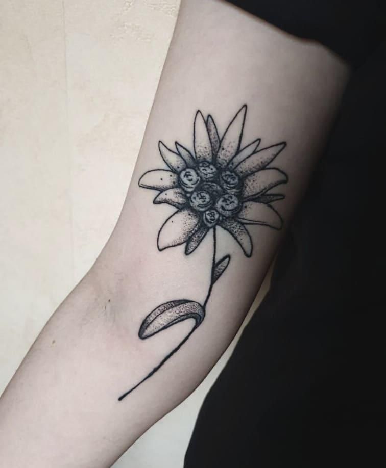 30 Unique Edelweiss Tattoos You Must Try