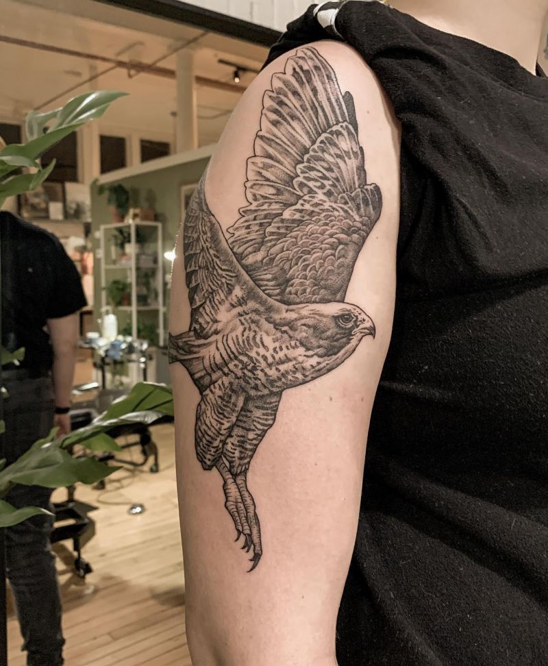 30 Amazing Hawk Tattoos Make You Attractive
