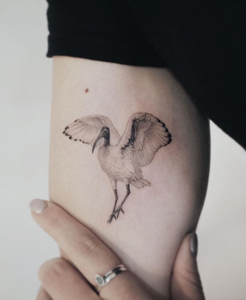 30 Unique Ibis Tattoos For Your Inspiration