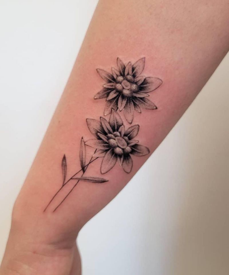 30 Unique Edelweiss Tattoos You Must Try