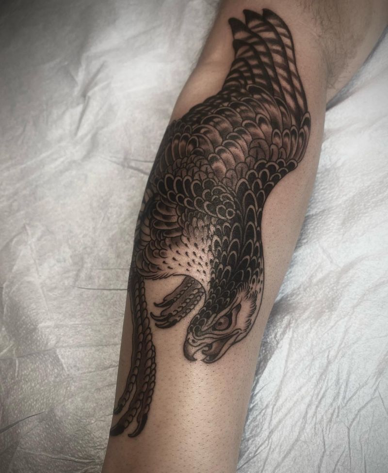 30 Amazing Hawk Tattoos Make You Attractive