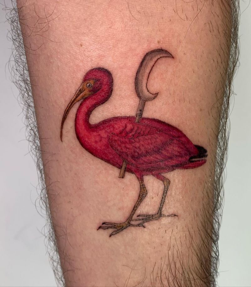 30 Unique Ibis Tattoos For Your Inspiration