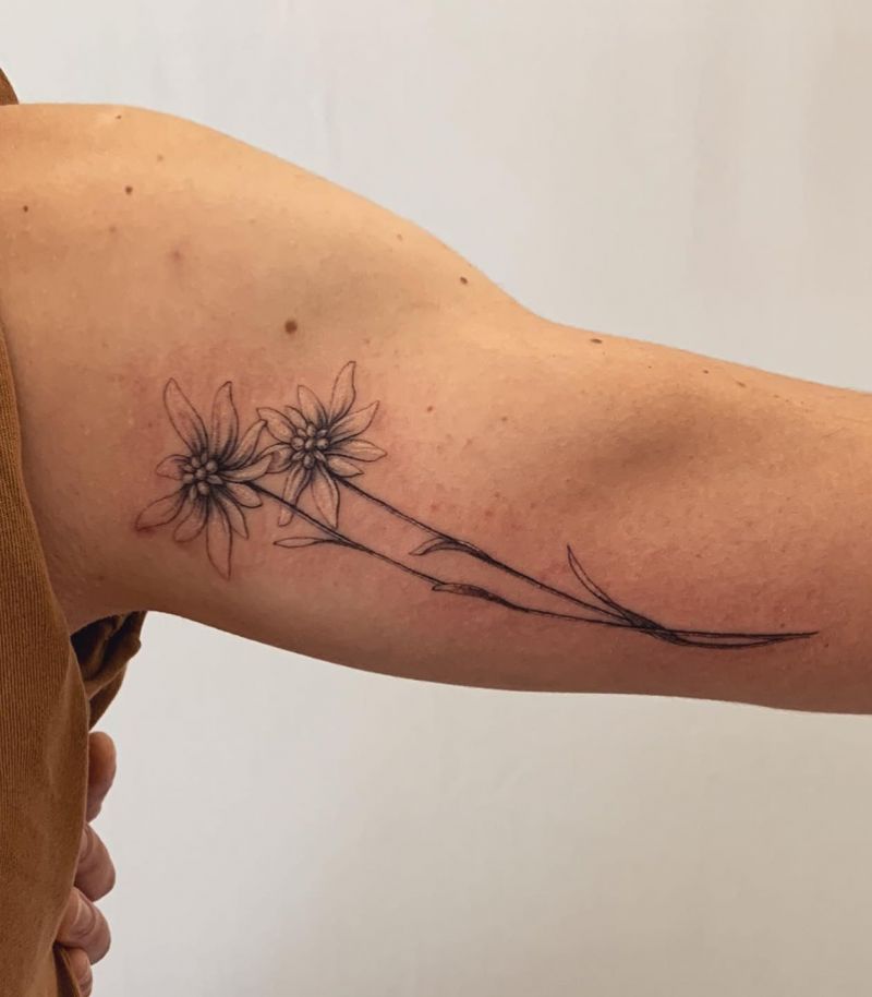 30 Unique Edelweiss Tattoos You Must Try