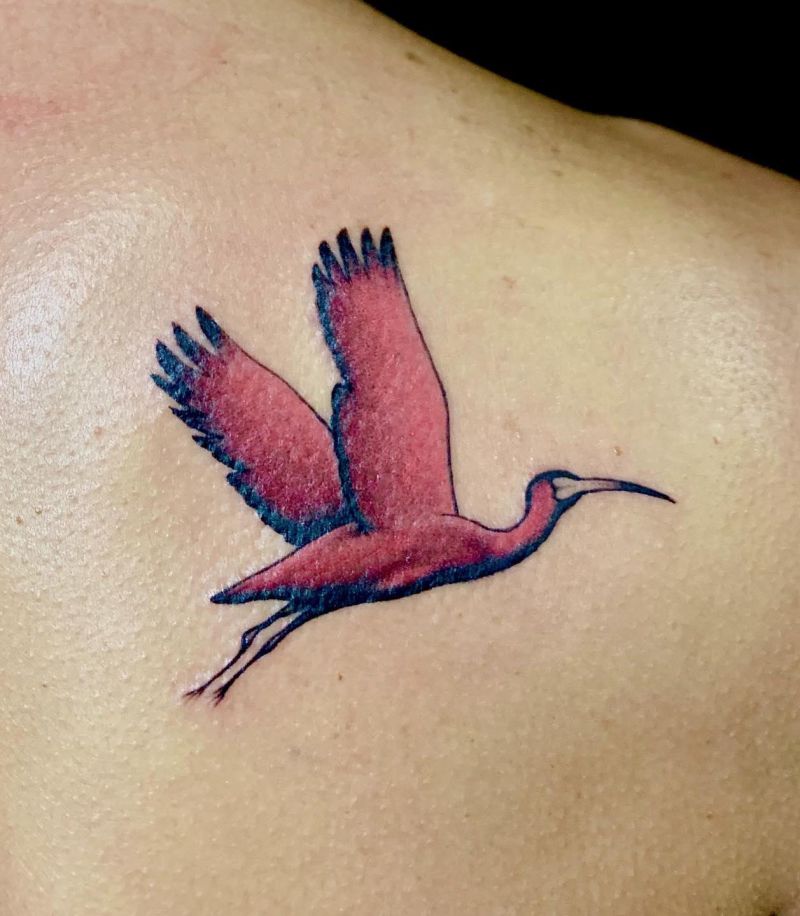 30 Unique Ibis Tattoos For Your Inspiration