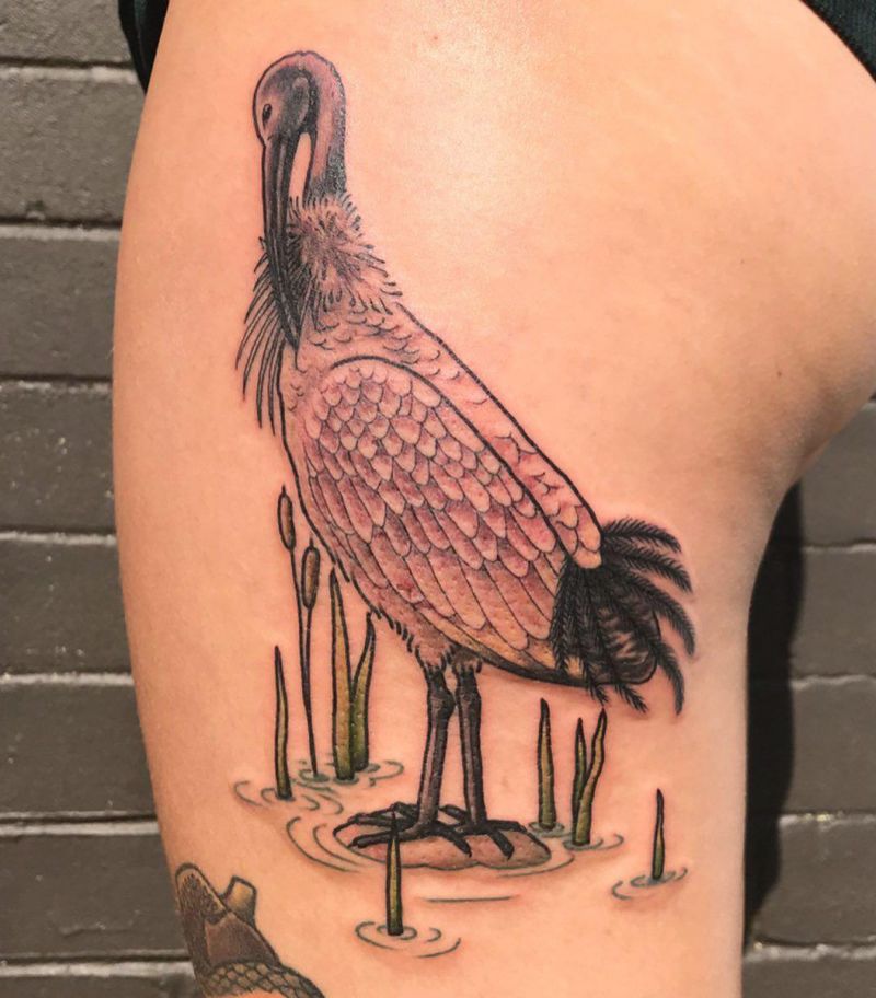 30 Unique Ibis Tattoos For Your Inspiration