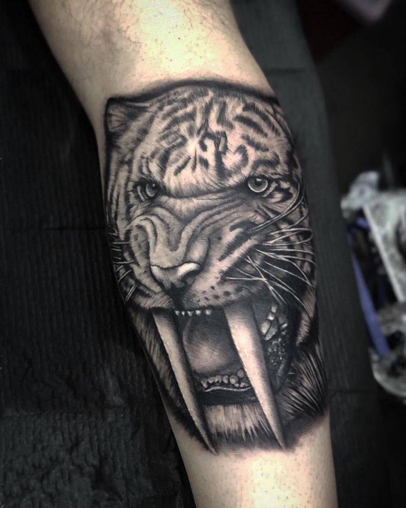 30 Unique Saber Tooth Tiger Tattoos Make You Attractive