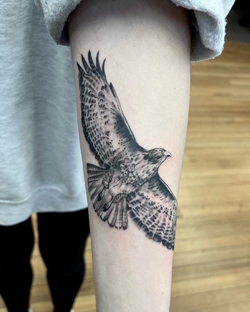 30 Amazing Hawk Tattoos Make You Attractive