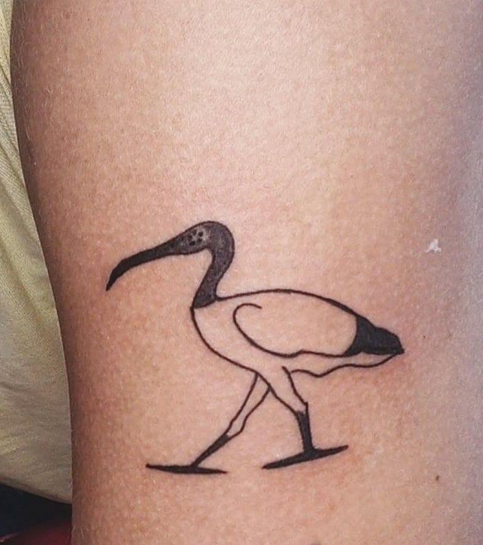 30 Unique Ibis Tattoos For Your Inspiration