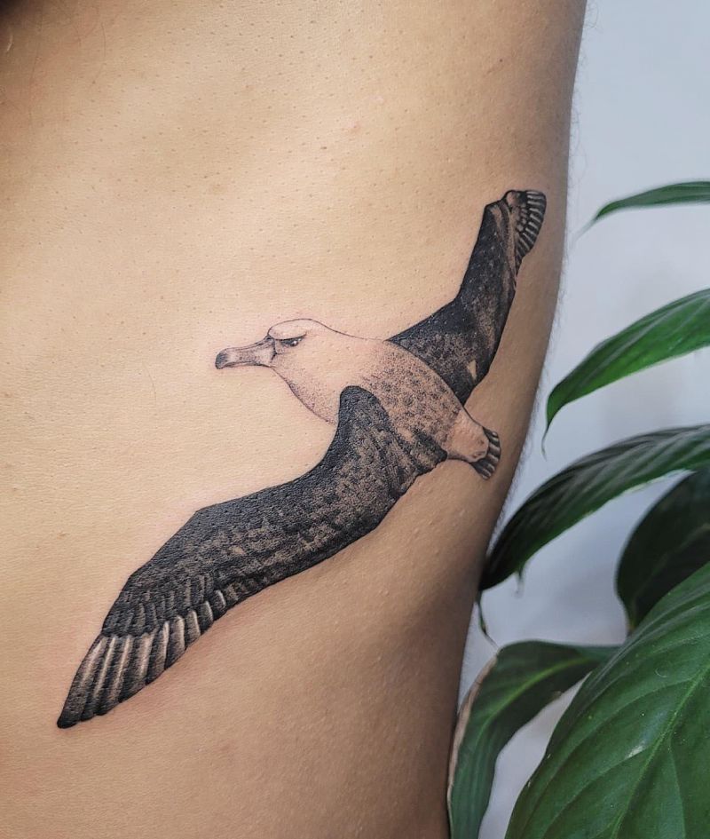 28 Unique Albatross Tattoos You Can Copy