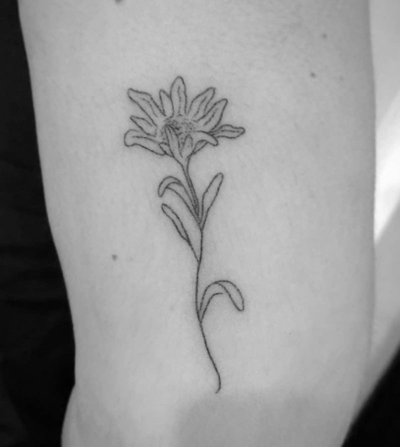 30 Unique Edelweiss Tattoos You Must Try