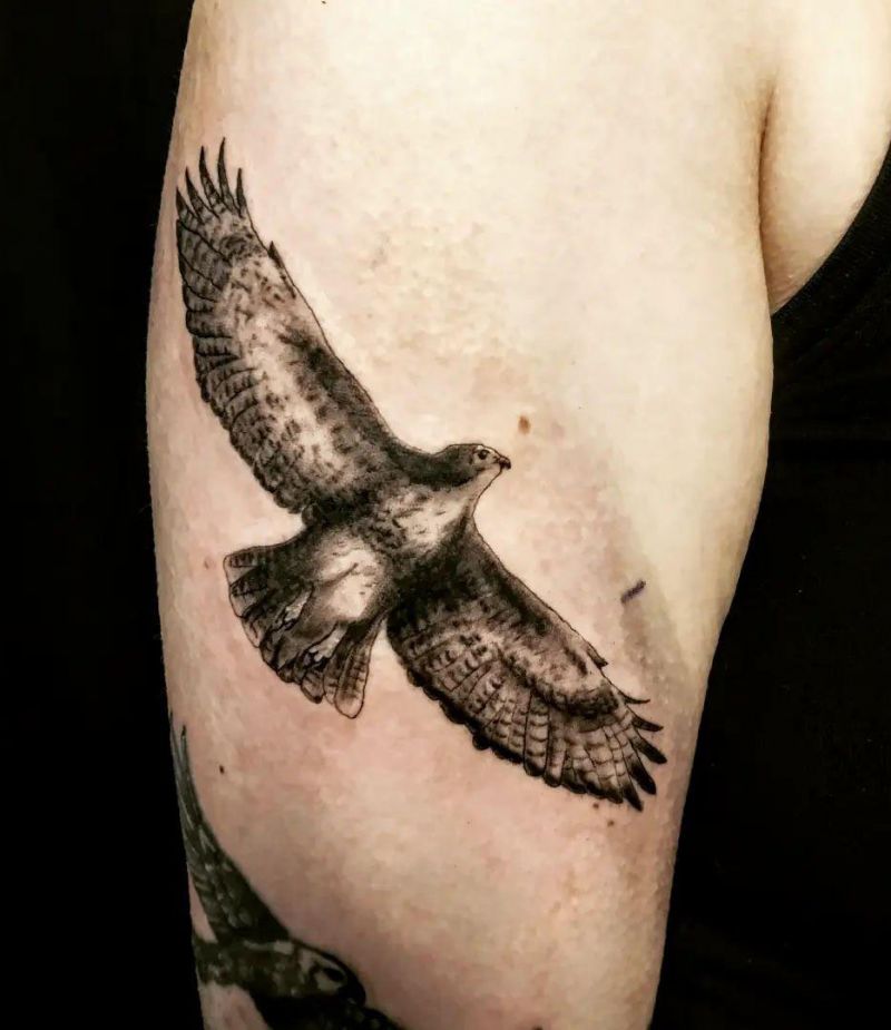 30 Amazing Hawk Tattoos Make You Attractive