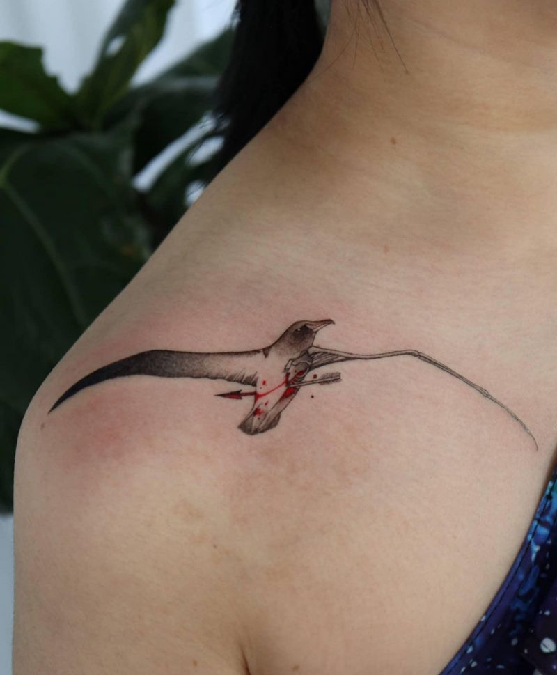 28 Unique Albatross Tattoos You Can Copy