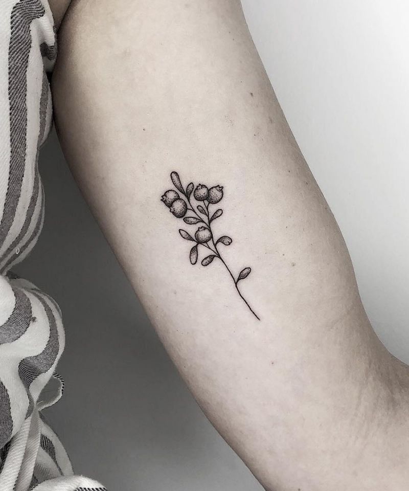 30 Pretty Cranberry Tattoos You Should Try