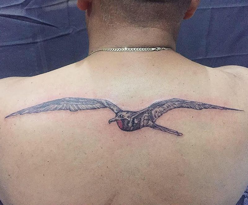 15 Pretty Frigate Bird Tattoos to Inspire You