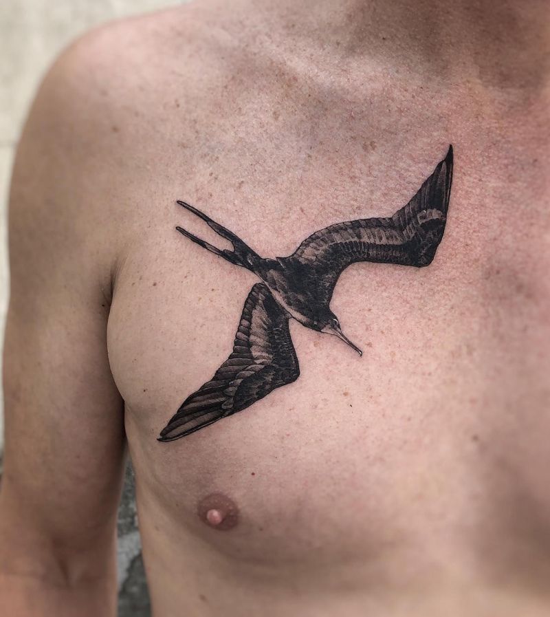 15 Pretty Frigate Bird Tattoos to Inspire You