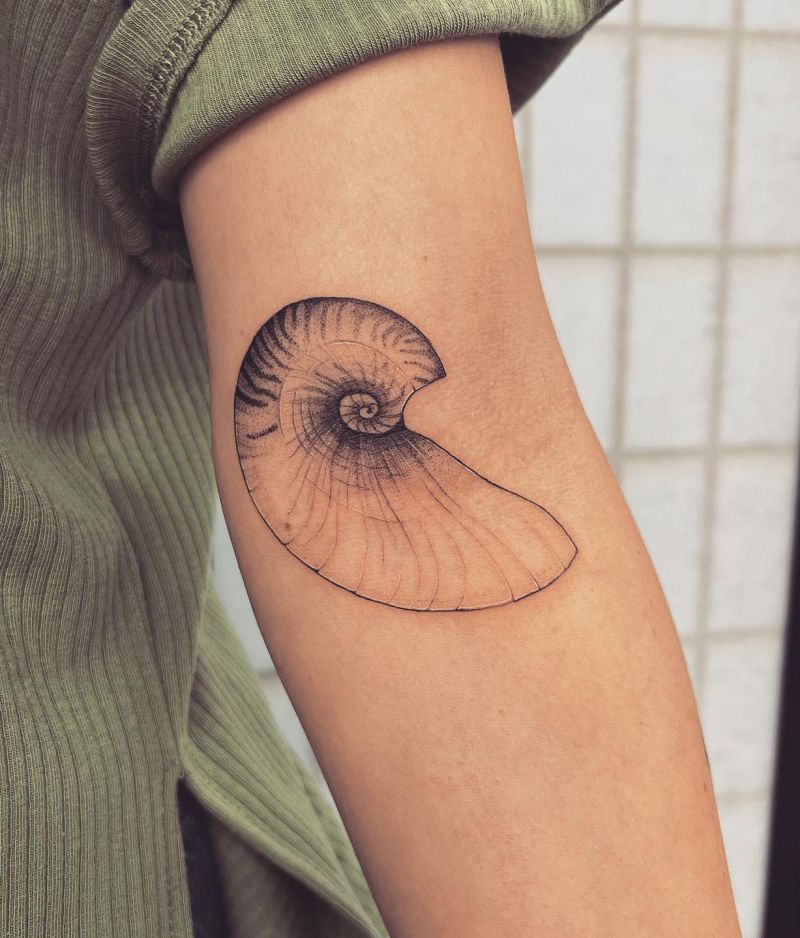 30 Awesome Nautilus Shell Tattoos You Can Copy