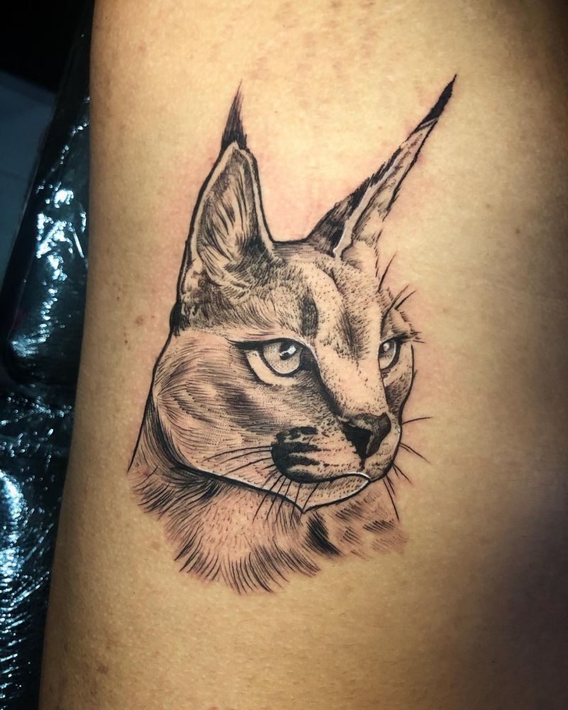 30 Awesome Caracal Tattoos You Can Copy