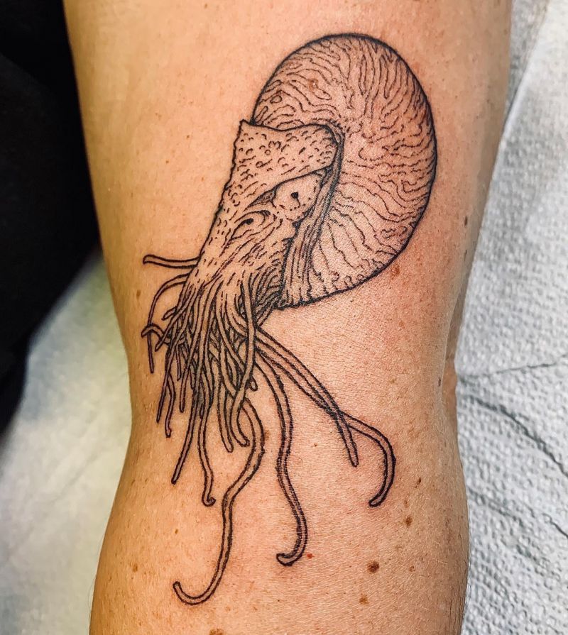 30 Awesome Nautilus Tattoos for Your Next Ink