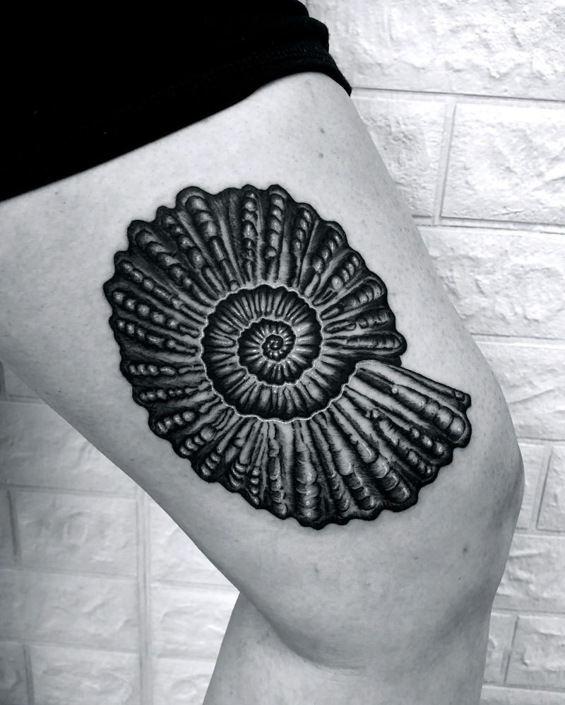 30 Awesome Nautilus Shell Tattoos You Can Copy