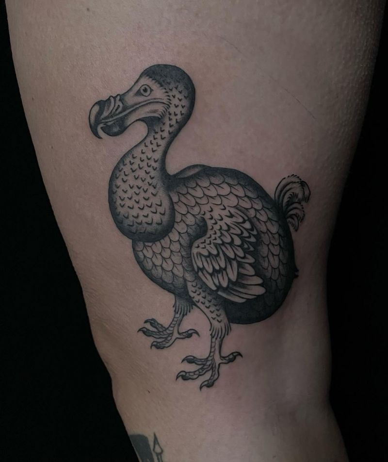 30 Awesome Dodo Tattoos You Will Love