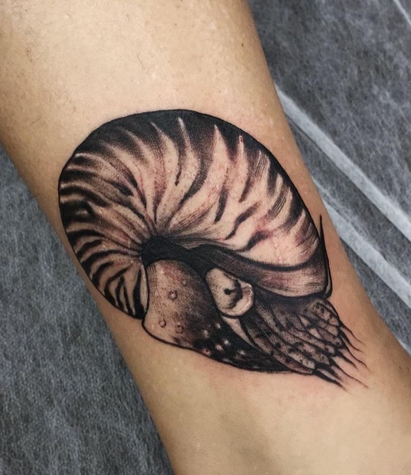 30 Awesome Nautilus Tattoos for Your Next Ink