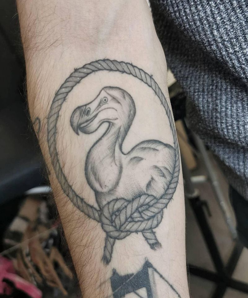 30 Awesome Dodo Tattoos You Will Love