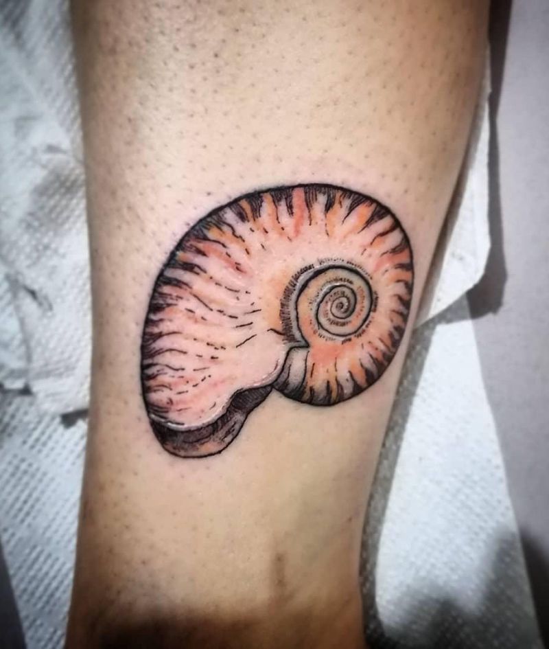 30 Awesome Nautilus Shell Tattoos You Can Copy