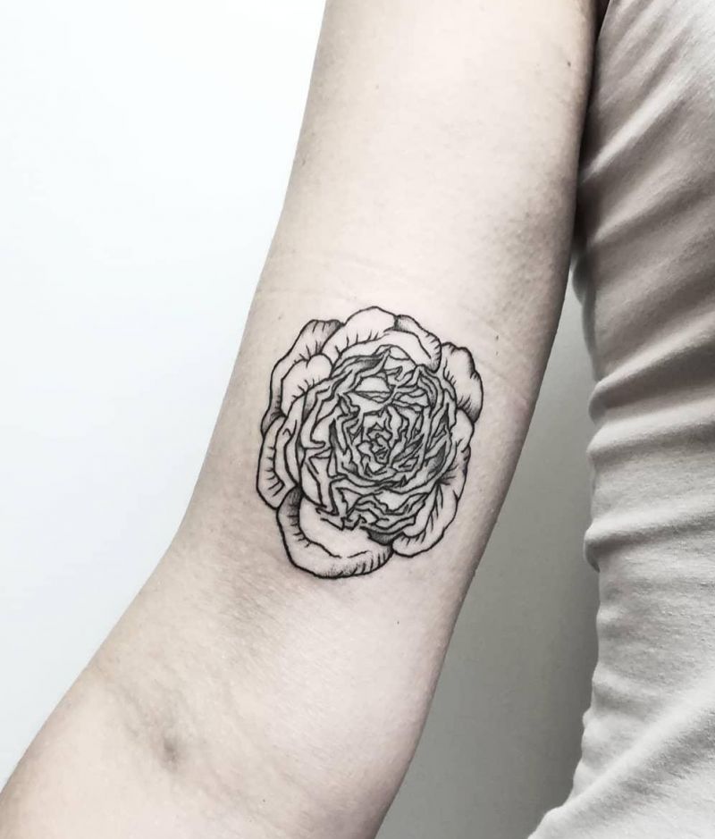 30 Unique Cabbage Tattoos You Can Copy