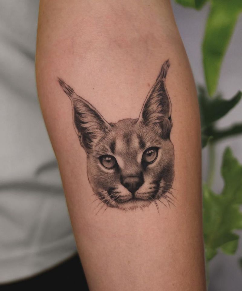 30 Awesome Caracal Tattoos You Can Copy