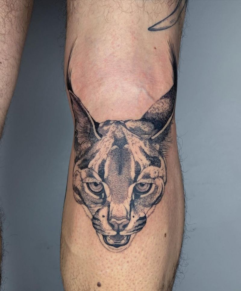 30 Awesome Caracal Tattoos You Can Copy